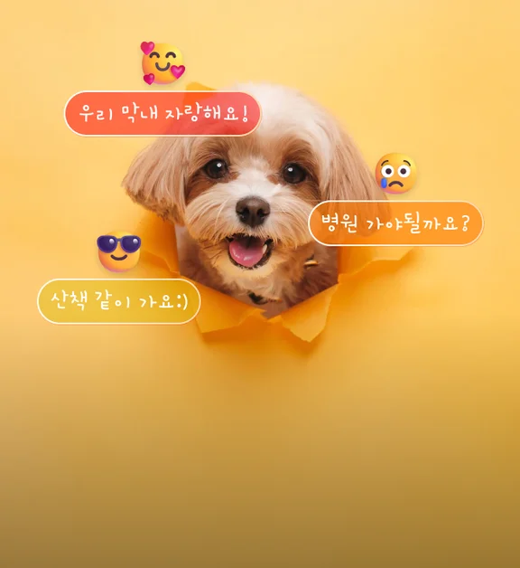 반려동물 커뮤니티