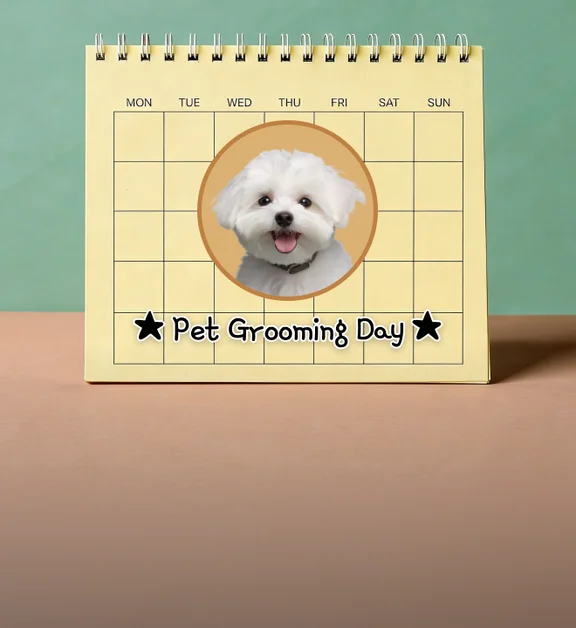 미용관리 캘린더